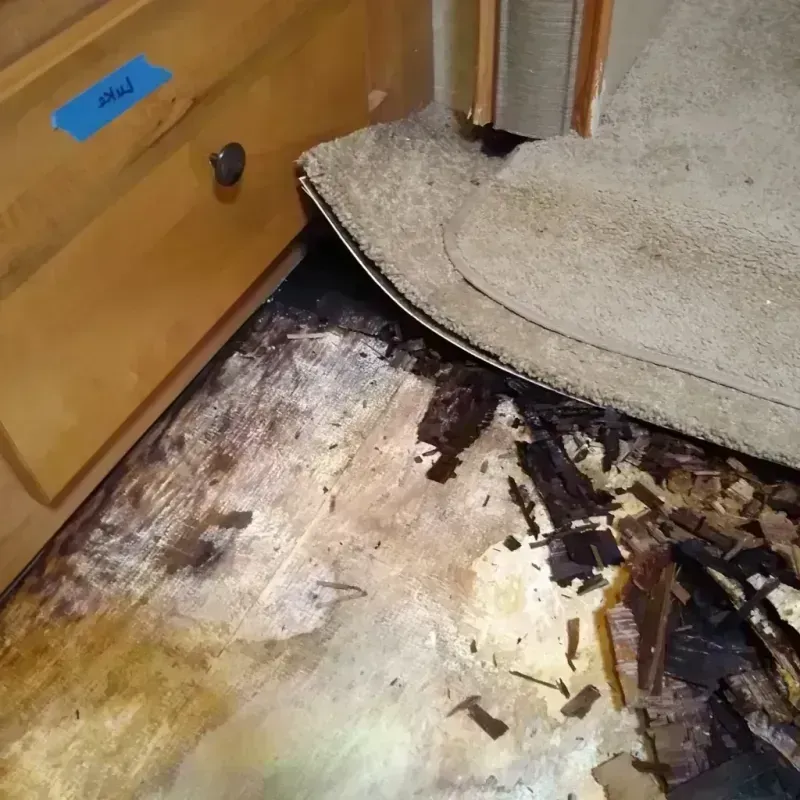 Wood Floor Water Damage in Long Branch, NJ